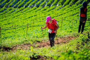 BIB: 
                            <button type="button" onclick="openModal(19161636)" class="btn btn-primary btn-sm float-right btn-popup" data-toggle="modal" data-target=".modal-high-quality">
                        <i class="fas fa-shopping-cart"></i> Add to Cart
                    </button>
                                            <button type="button" onclick="isThisMe(19161636, true)" class="btn btn-success btn-sm float-right btn-popup btn-isme hidden" data-toggle="tooltip" data-placement="bottom" title="นี่คือรูปของคุณใช่ไหม คลิกที่นี่เพื่อเอาเข้าอัลบั้ม">
                        <i class="fas fa-plus"></i> Add to album
                    </button>
                    <button type="button" onclick="isThisMe(19161636, false)" class="btn btn-warning btn-sm float-right btn-popup btn-isnotme hidden">
                        <i class="fas fa-ban"></i> Remove from album
                    </button>